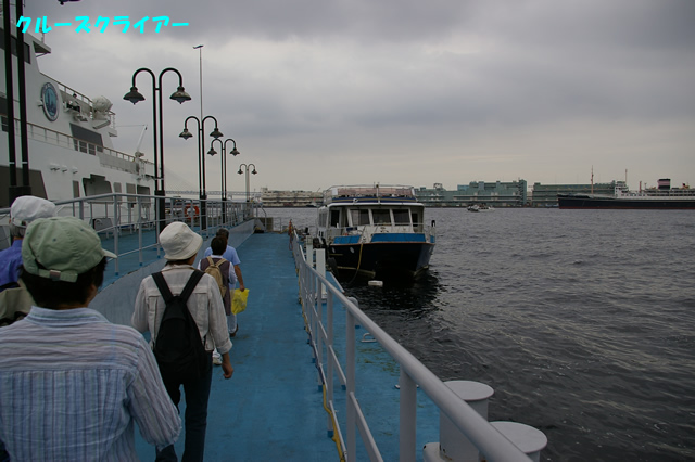 IMGP1289.jpg