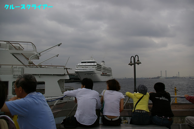 IMGP1293.jpg