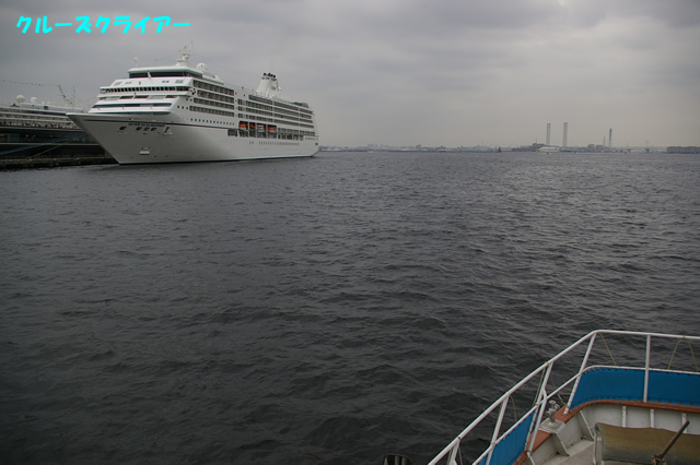 IMGP1298.jpg