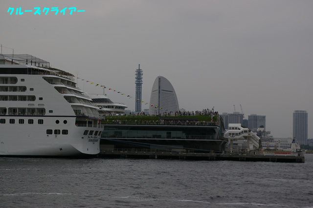 IMGP1310.jpg