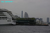 IMGP1310_thumb.jpg
