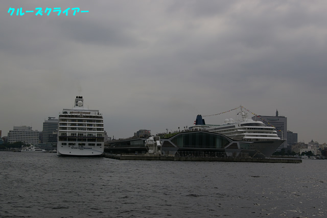 IMGP1313.jpg