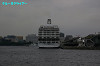 IMGP1315_thumb.jpg