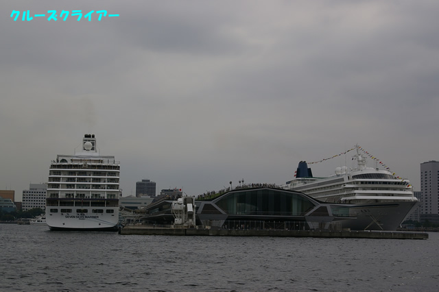IMGP1316.jpg
