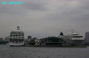 IMGP1316_thumb.jpg