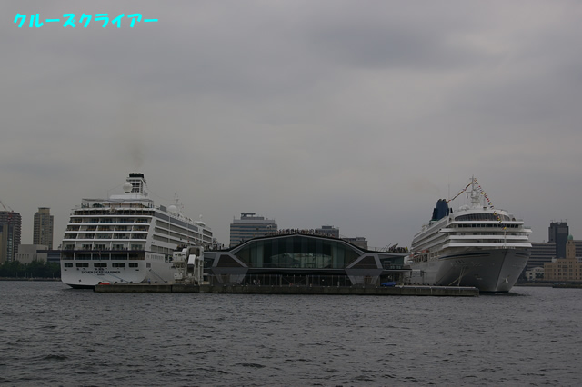 IMGP1318.jpg