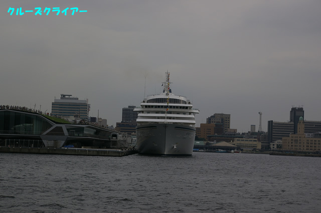 IMGP1320.jpg