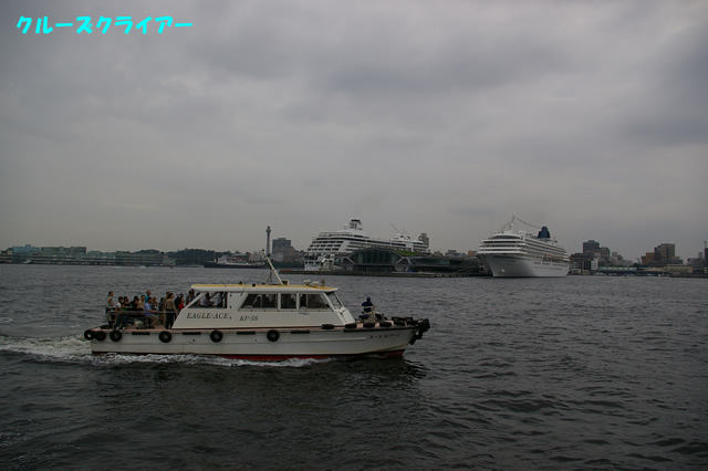 IMGP1323.jpg
