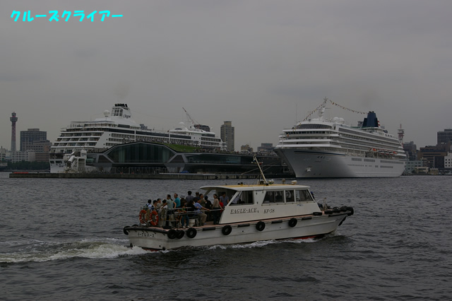 IMGP1324.jpg