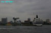 IMGP1336_thumb.jpg