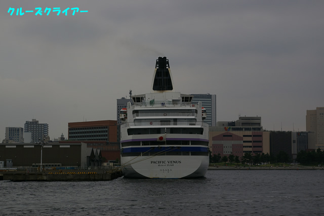 IMGP1338.jpg