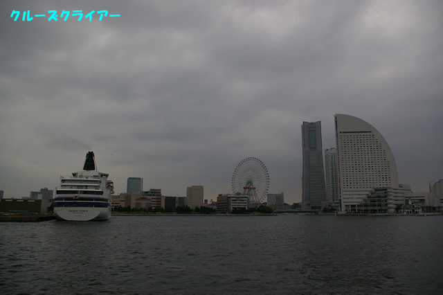 IMGP1339.jpg