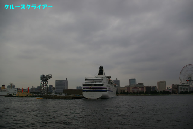 IMGP1340.jpg
