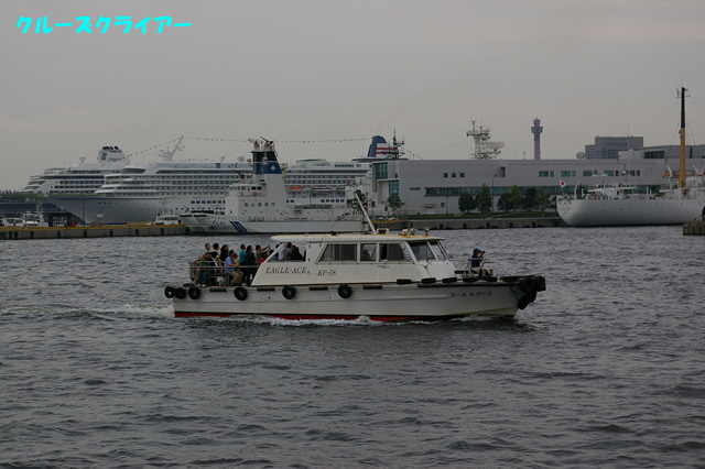 IMGP1342.jpg