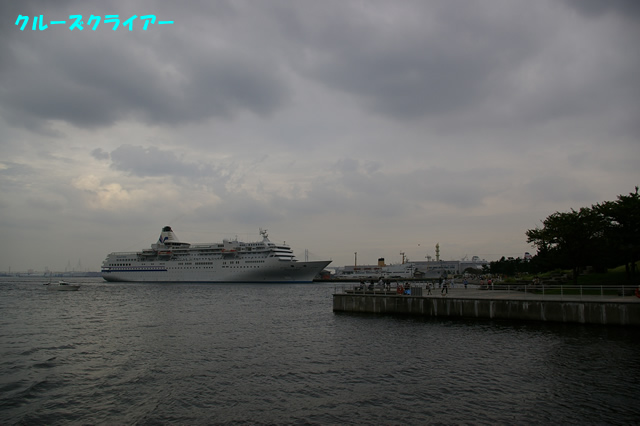 IMGP1352.jpg