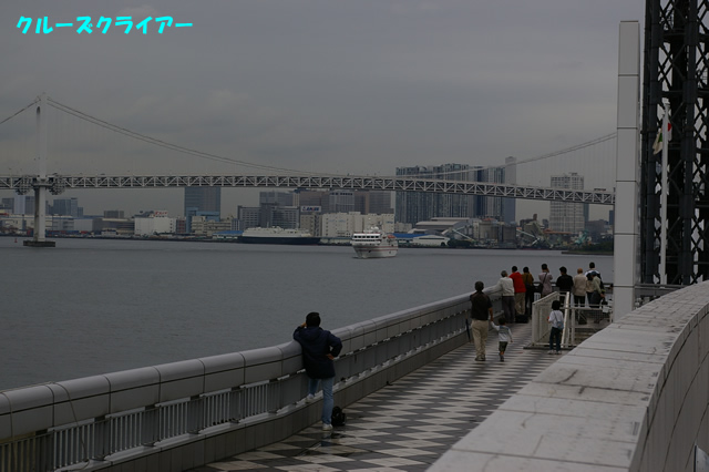 IMGP1445.jpg