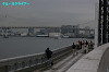 IMGP1445_thumb.jpg