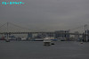 IMGP1453_thumb.jpg