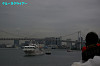 IMGP1456_thumb.jpg