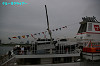 IMGP1517_thumb.jpg