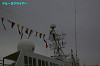 IMGP1545_thumb.jpg