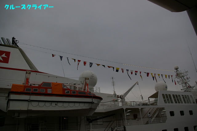 IMGP1546.jpg