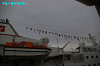 IMGP1546_thumb.jpg