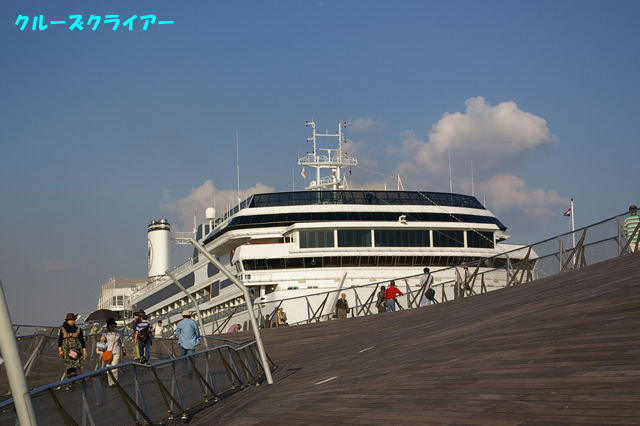 IMGP1556.jpg
