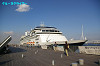 IMGP1558_thumb.jpg