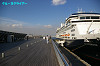 IMGP1561_thumb.jpg