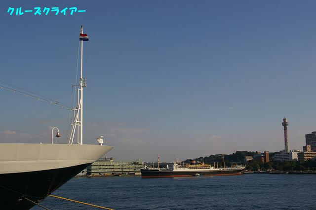 IMGP1562.jpg