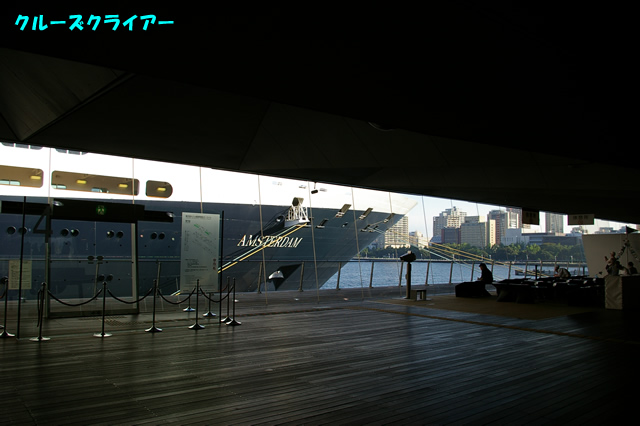 IMGP1589.jpg