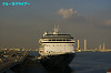 IMGP1594_thumb.jpg