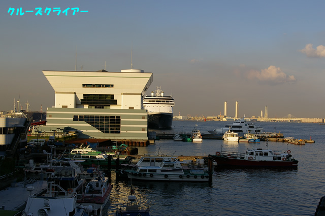 IMGP1598.jpg