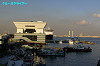 IMGP1598_thumb.jpg