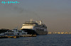 IMGP1601_thumb.jpg