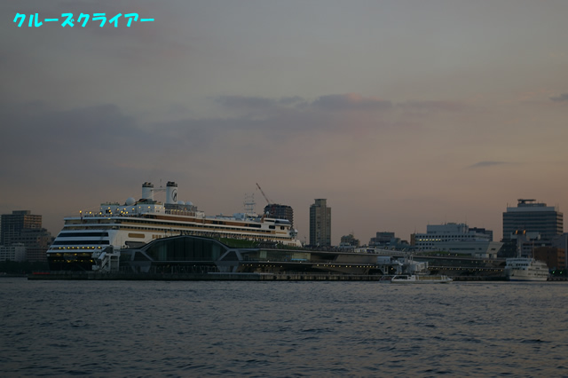 IMGP1641.jpg