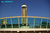 IMGP3118_thumb.jpg