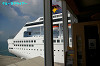IMGP3511_thumb.jpg