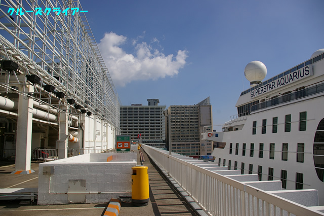 IMGP3519.jpg