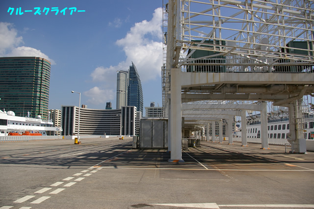 IMGP3528.jpg