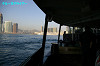 IMGP3640_thumb.jpg