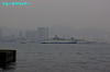 IMGP3808_thumb.jpg