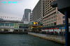 IMGP3883_thumb.jpg