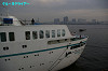 IMGP4056_thumb.jpg