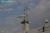 IMGP4065_thumb.jpg