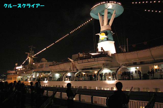 IMGP4128.jpg