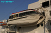 IMGP4173_thumb.jpg