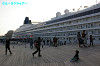 IMGP4194_thumb.jpg