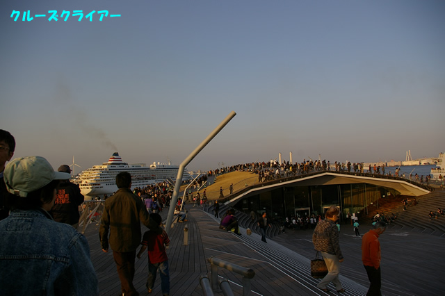 IMGP4238.jpg
